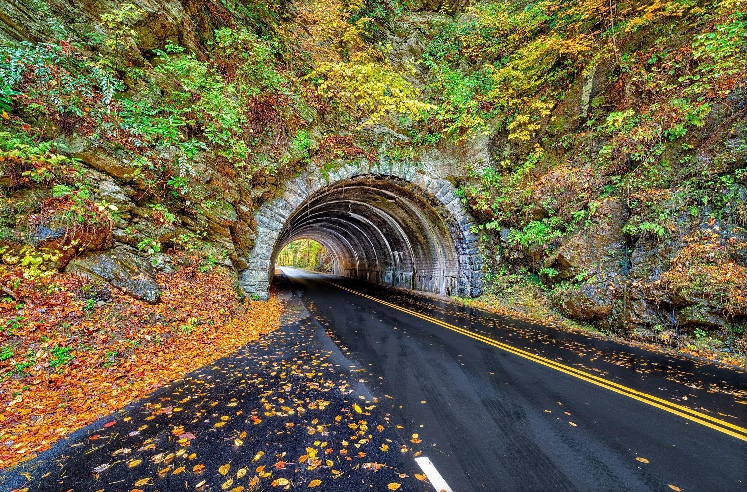 Her Majesty'S Way, Awesome Mtn Views, 1089 Free Tickets Each Paid Day, Dollywood And More Гатлинбург Экстерьер фото